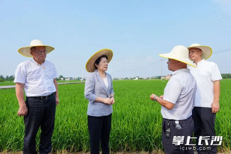 吴桂英调研粮食生产、防汛抗旱及乡村振兴工作