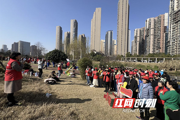 雨花家园社区：党建引领聚合力，携手植树添新绿